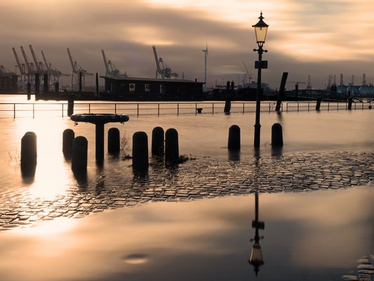 Zoltan zieht sich zurück