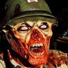 Zombie Soldier