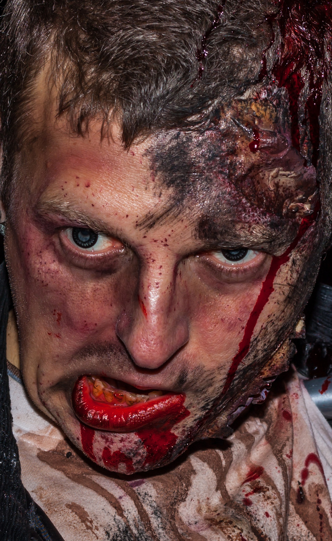 Zombie Walk 2013