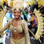  Zomercarnaval in Rotterdam ....