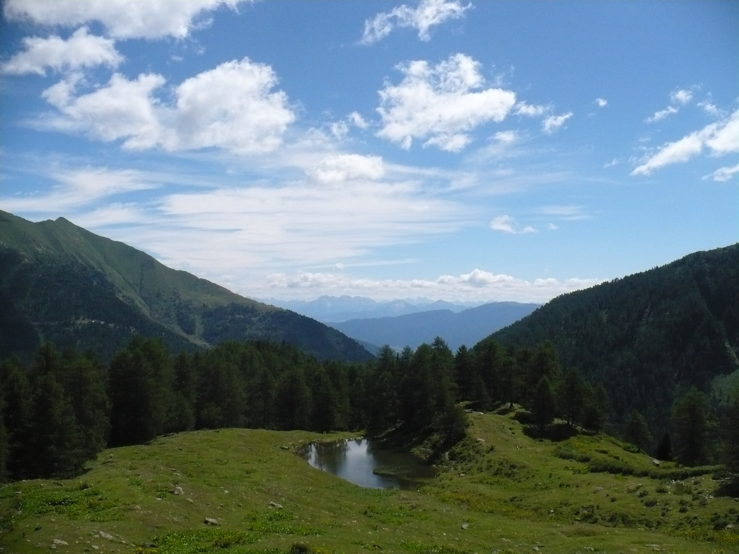 zona malga Preghena Val di Non Trentino