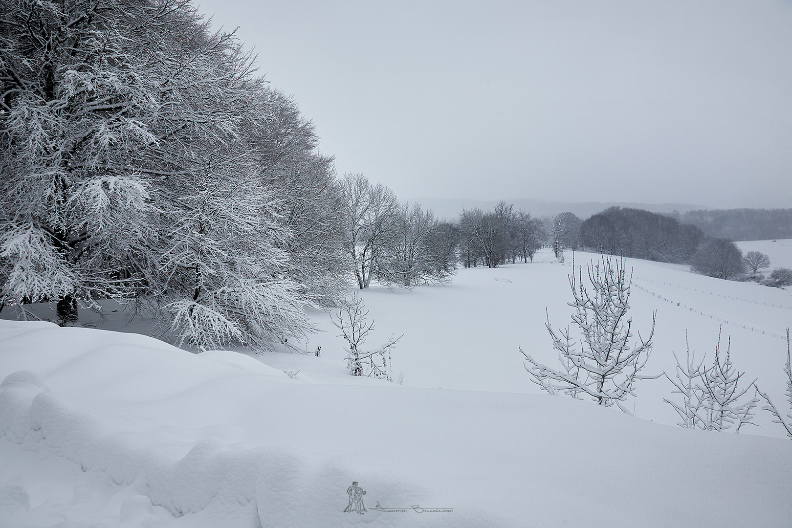 Zona Roncesvalles/Orreaga