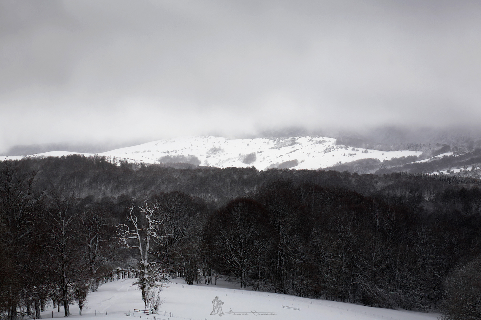 Zona Roncesvalles/Orreaga