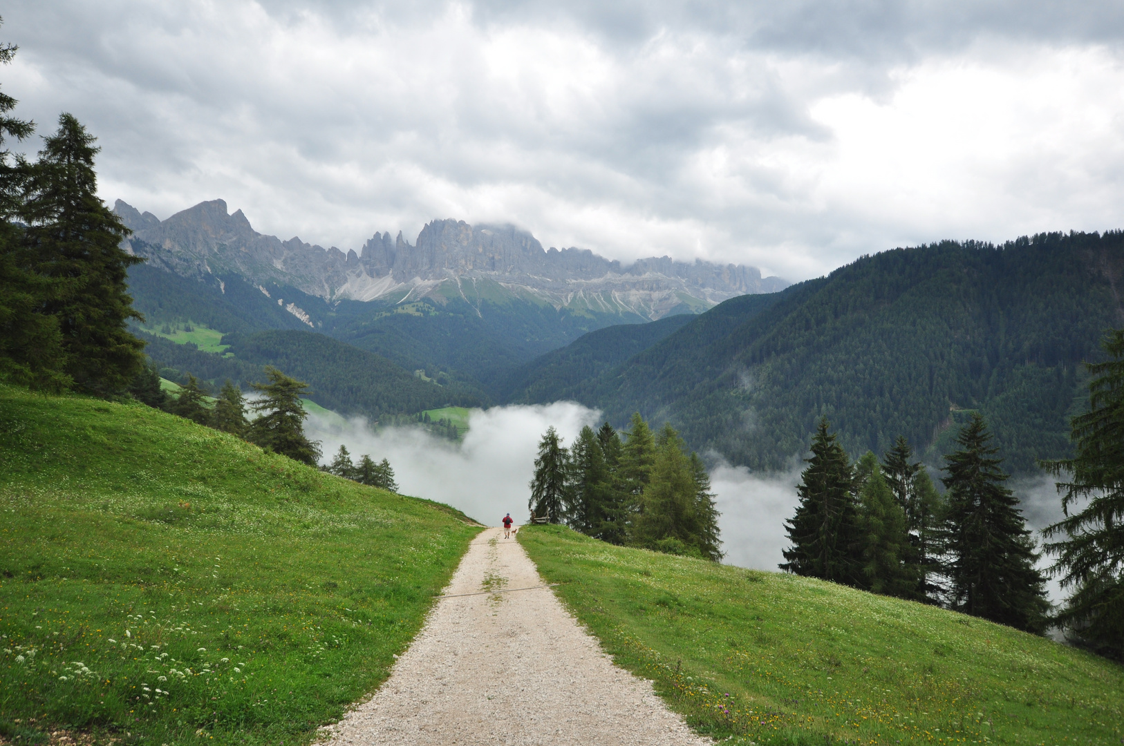 zona Wuhnleger con vista sul Catinaccio