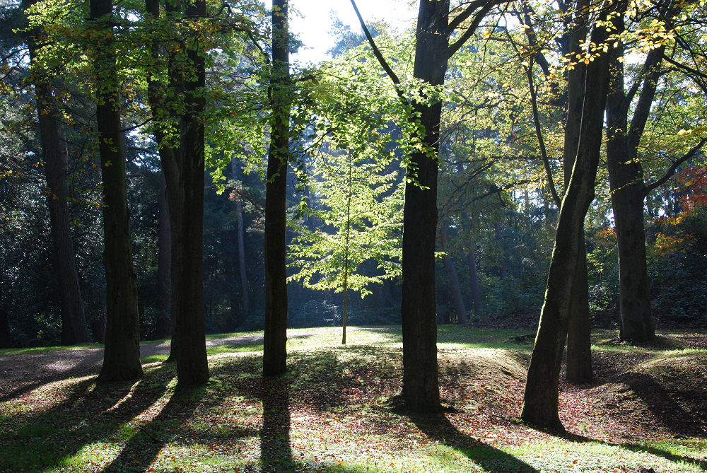 Zonlicht in de herfst - Sonnenlicht im Herbst