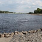 Zons am Rhein #023