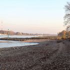 Zons am Rhein #032