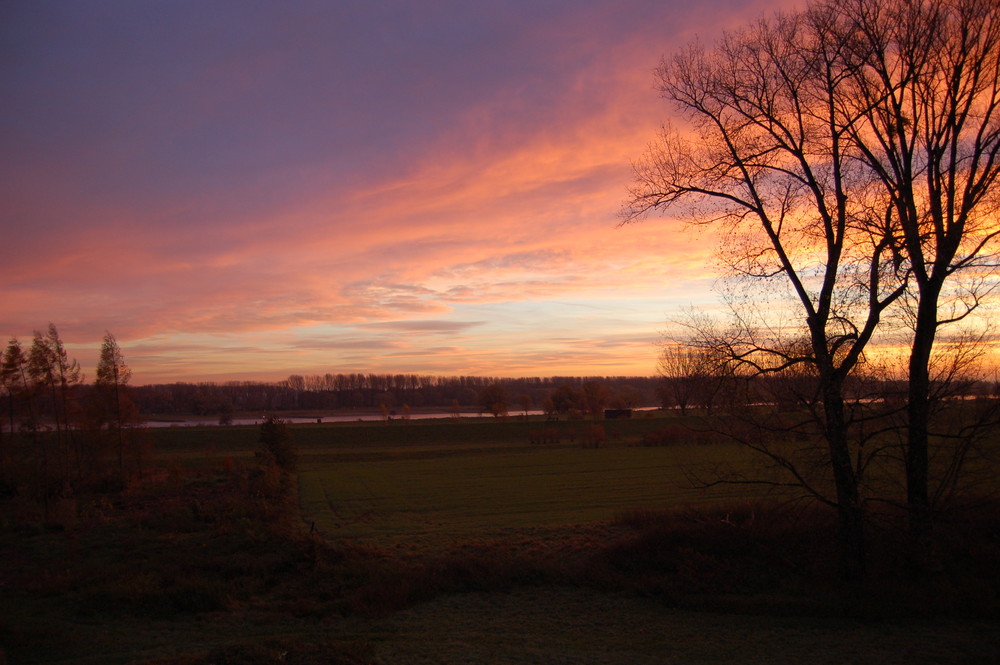 Zons am Rhein