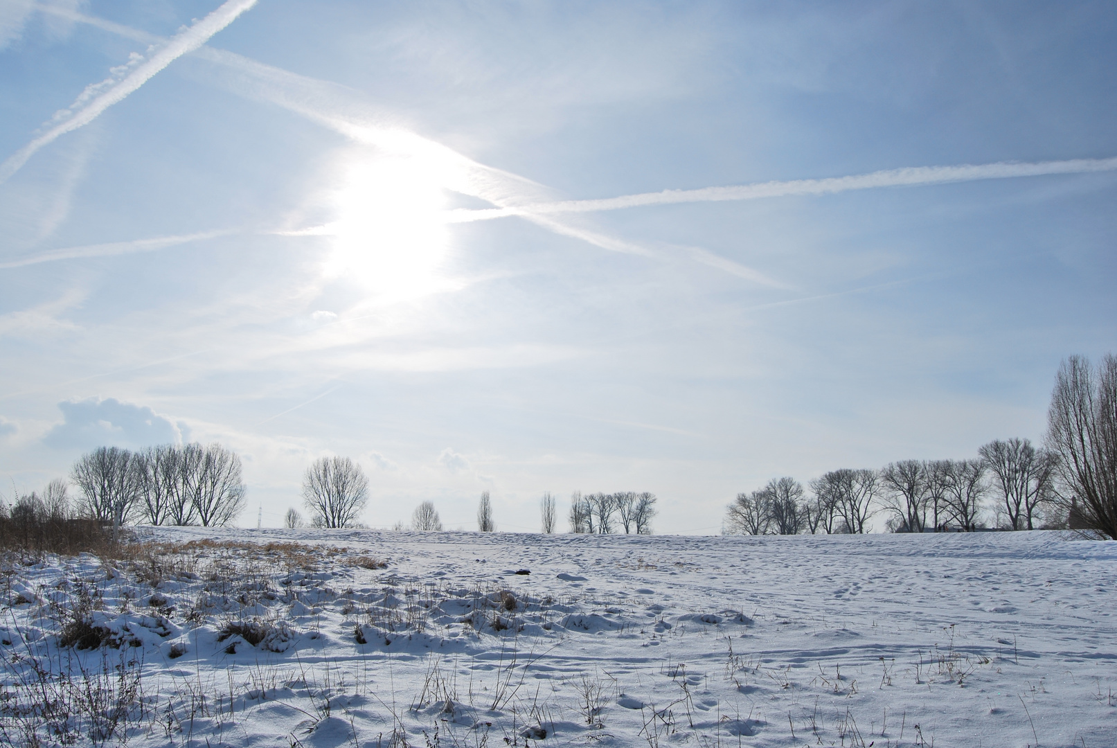 Zons - Rheinlandschaft im Schnee