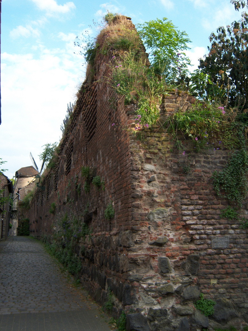 Zonser Ansichten "Stadtmauer"