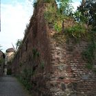 Zonser Ansichten "Stadtmauer"