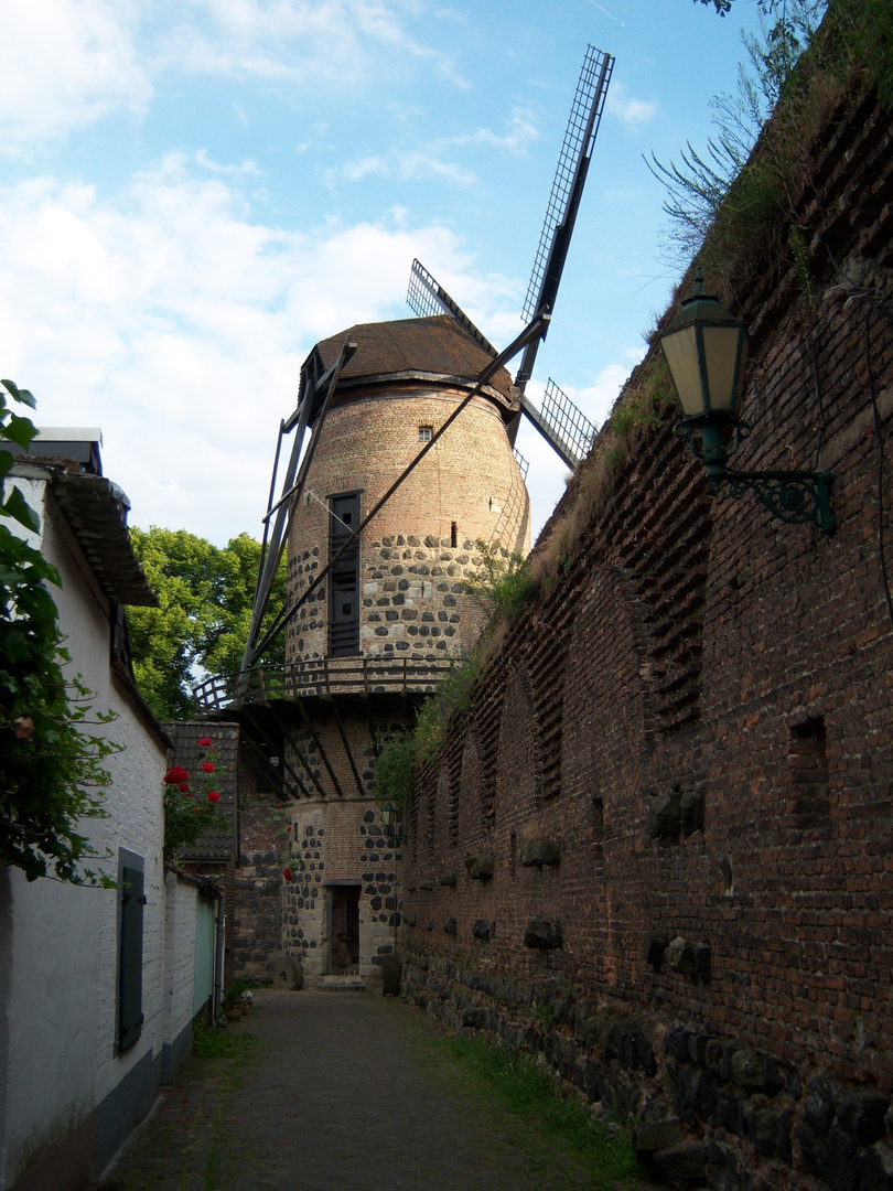 Zonser Ansichten "Zonser Mühle"