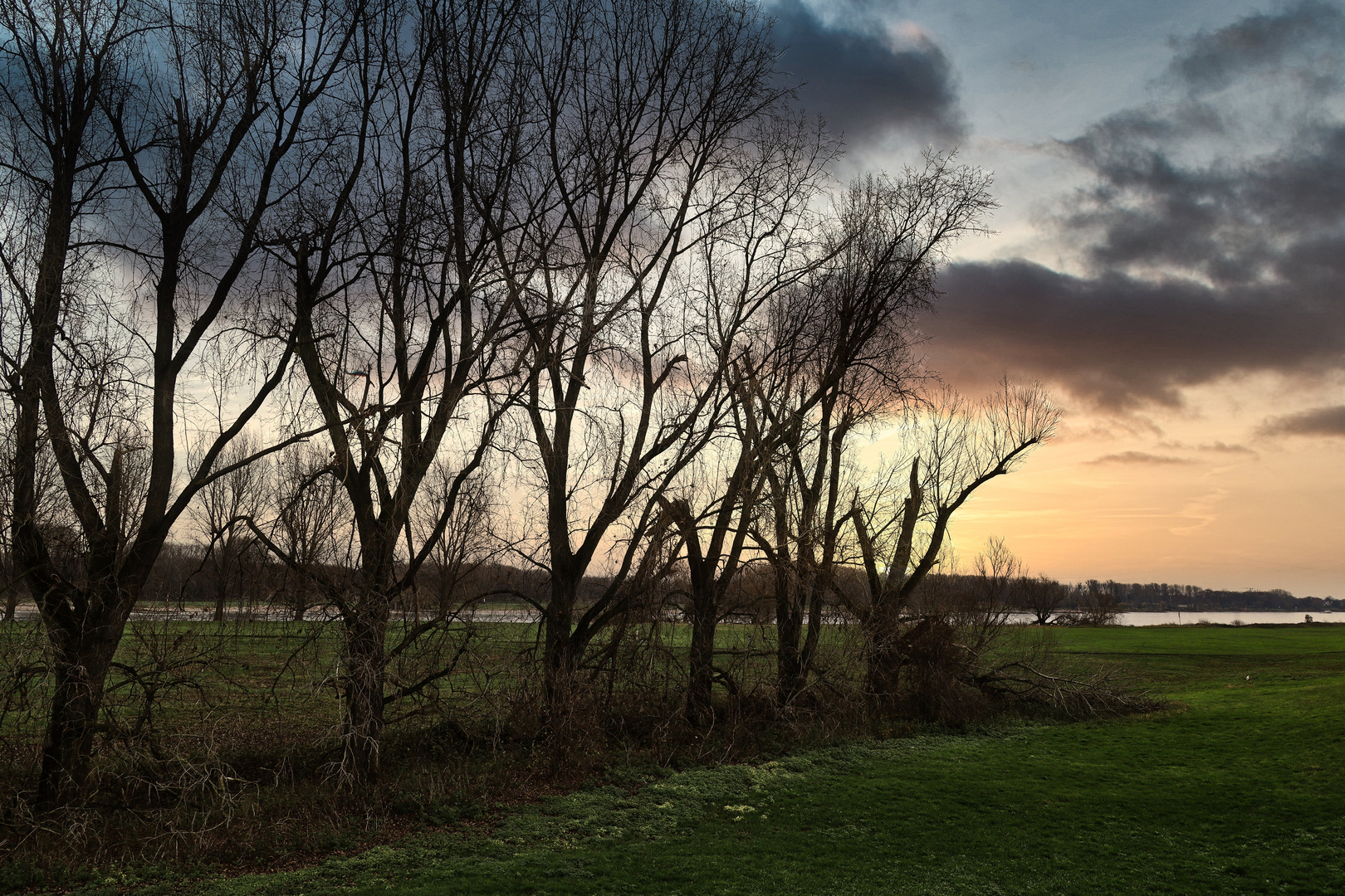 Zonser Wiese Frühmorgens