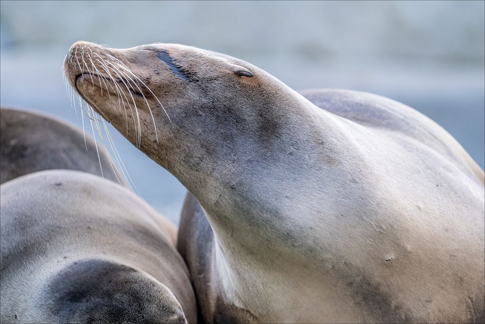 Zoo-02915-Bearbeitet