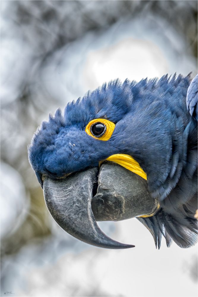 Zoo-07757-Bearbeitet Kopie