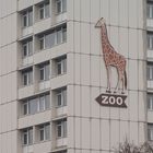 ZOO