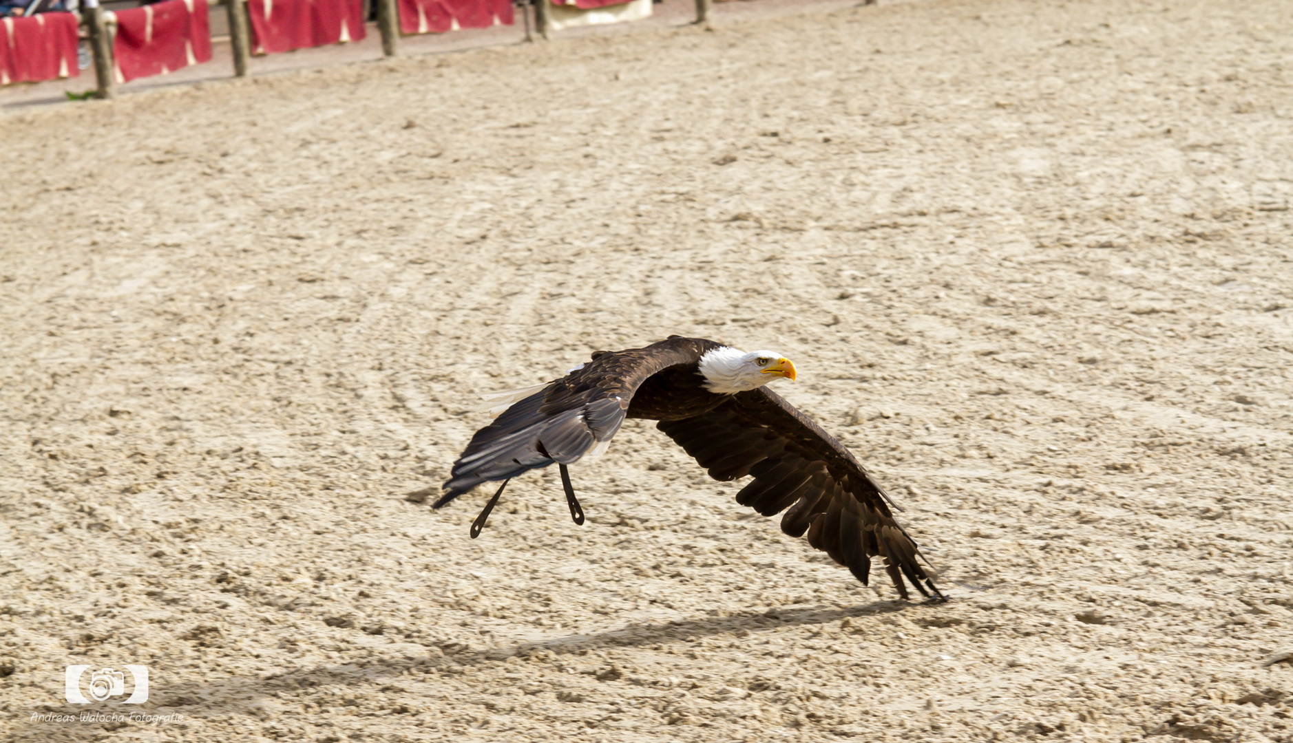 Zoo Amneville