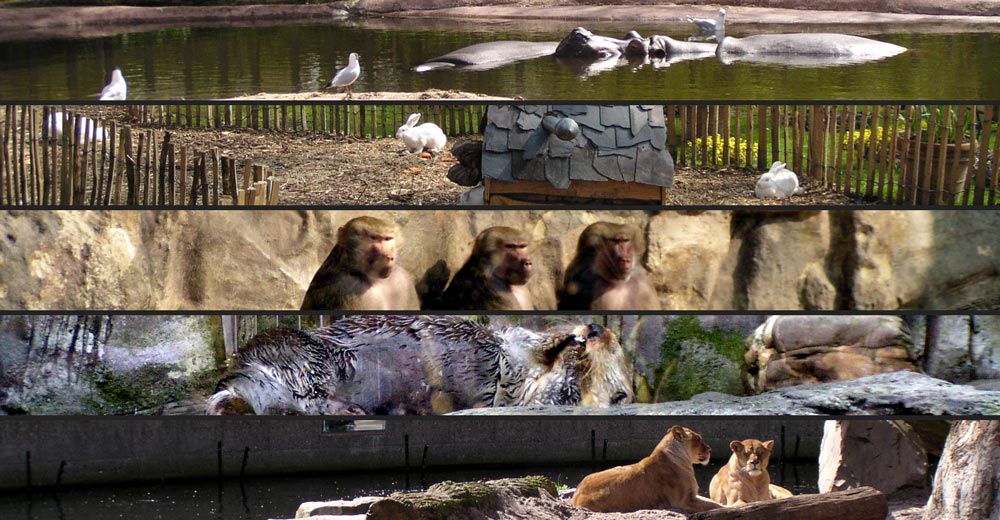 Zoo Antwerpen