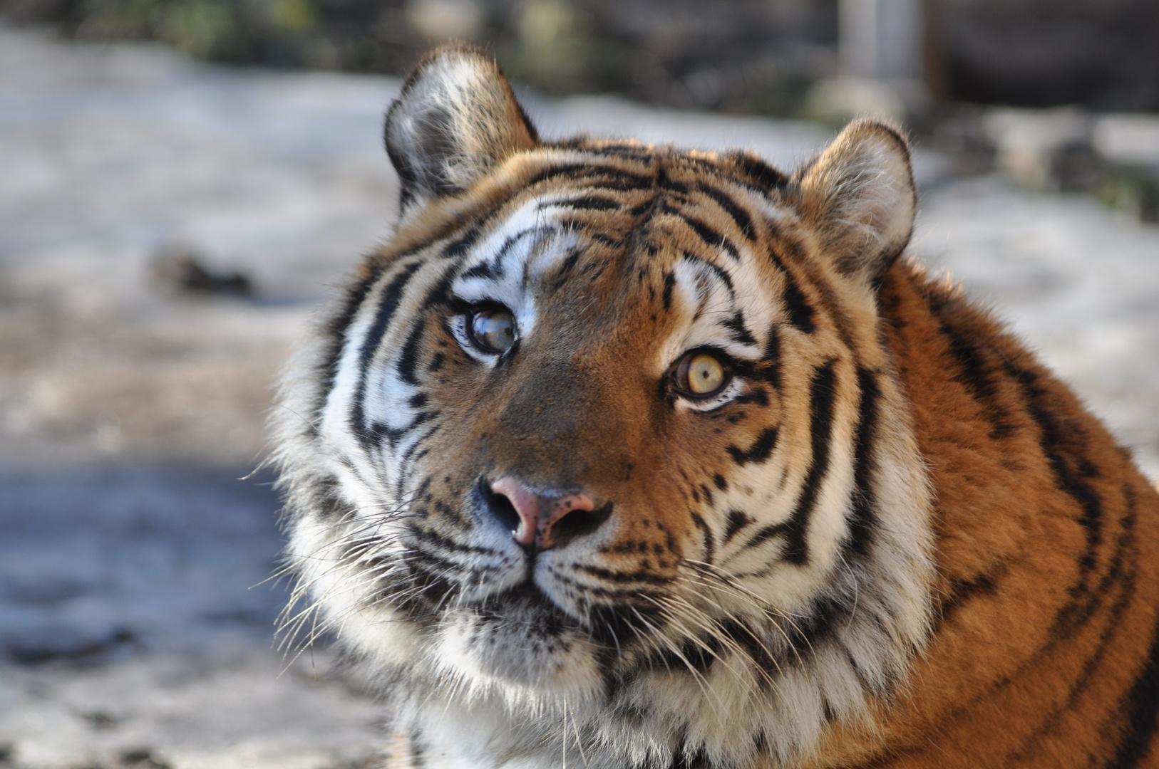 Zoo Aschersleben