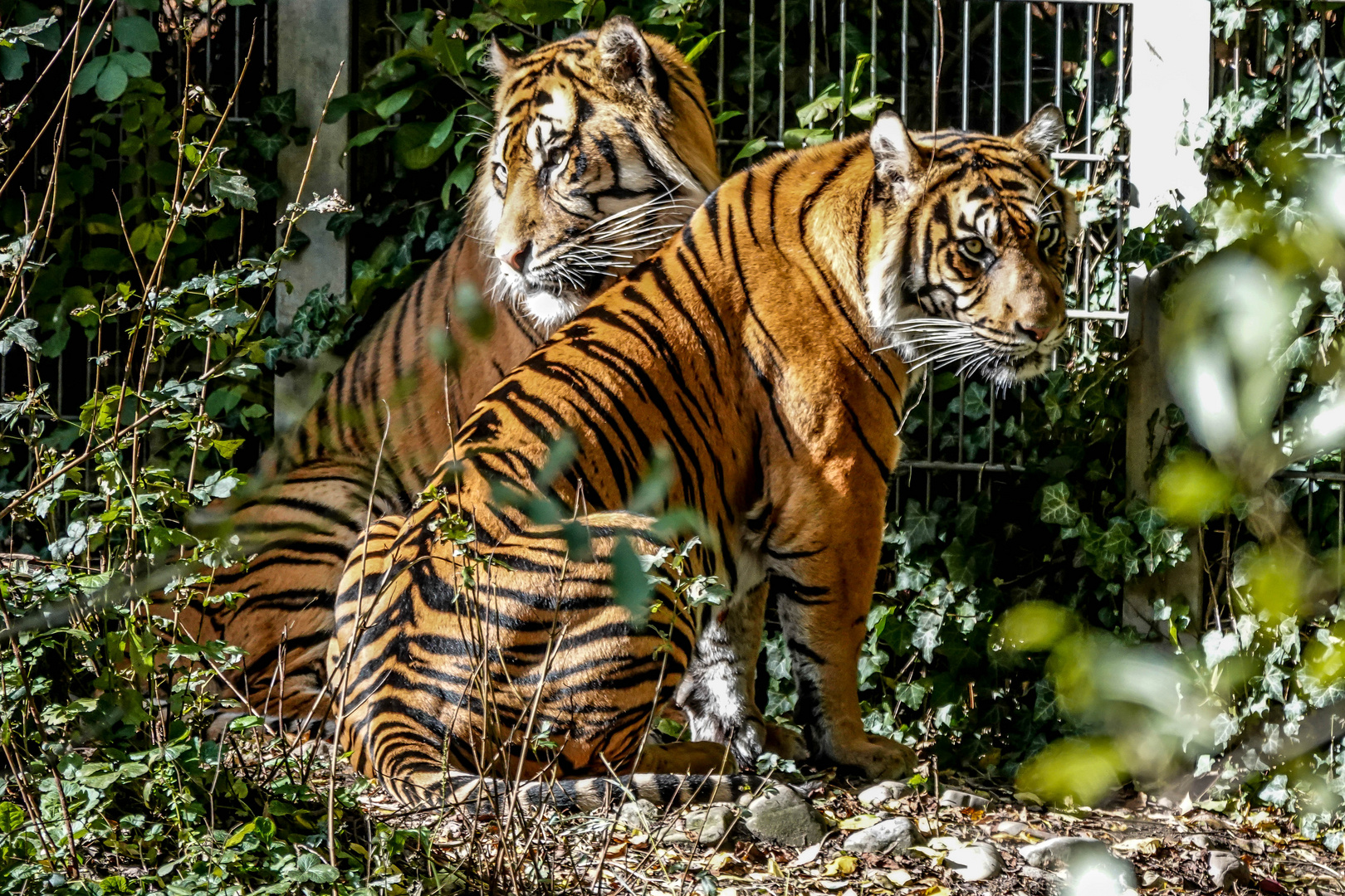 Zoo Augsburg (01)