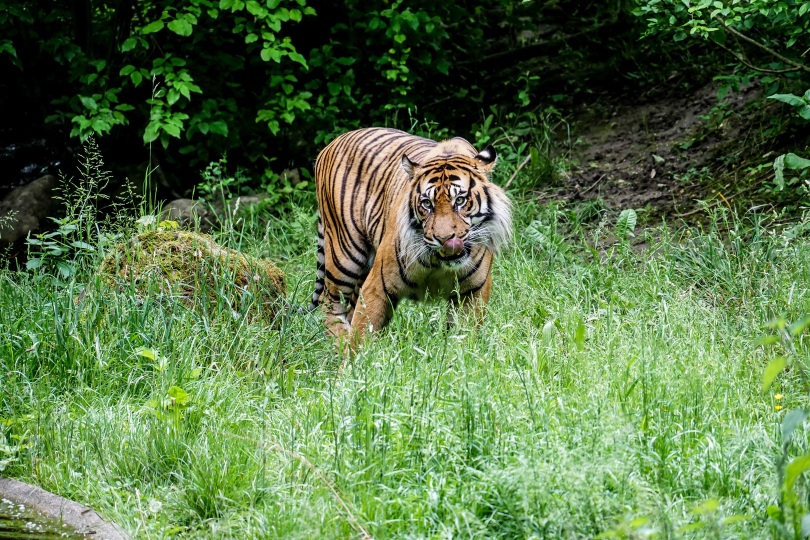 Zoo Augsburg (1)