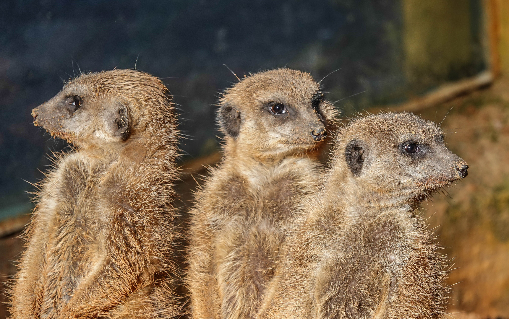 Zoo Augsburg (11)