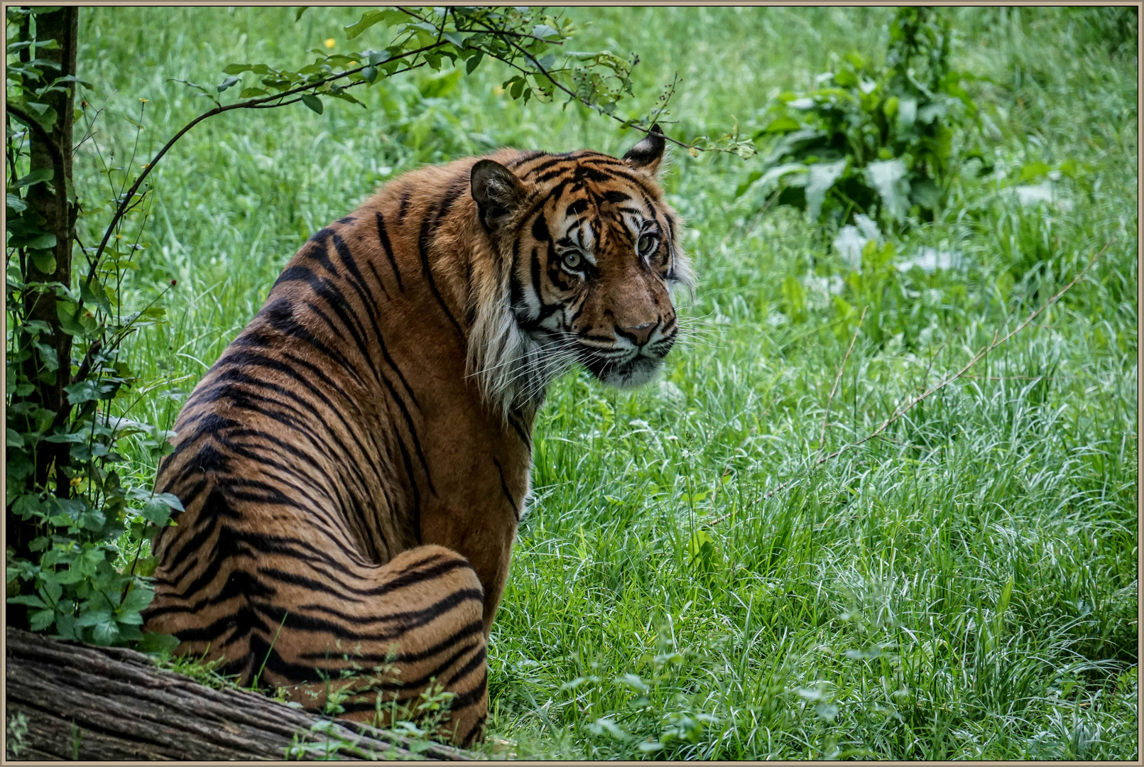 Zoo Augsburg (2)