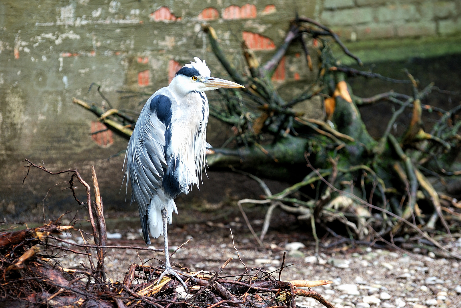 Zoo Augsburg 3