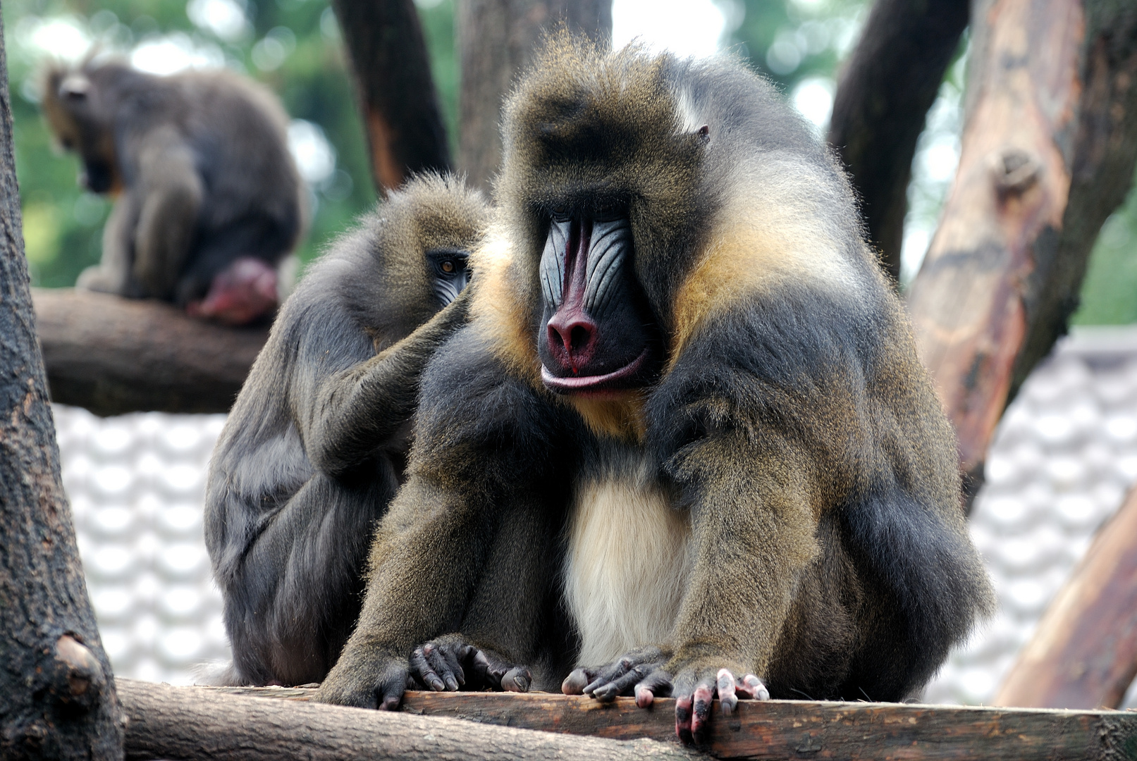 Zoo Augsburg 4