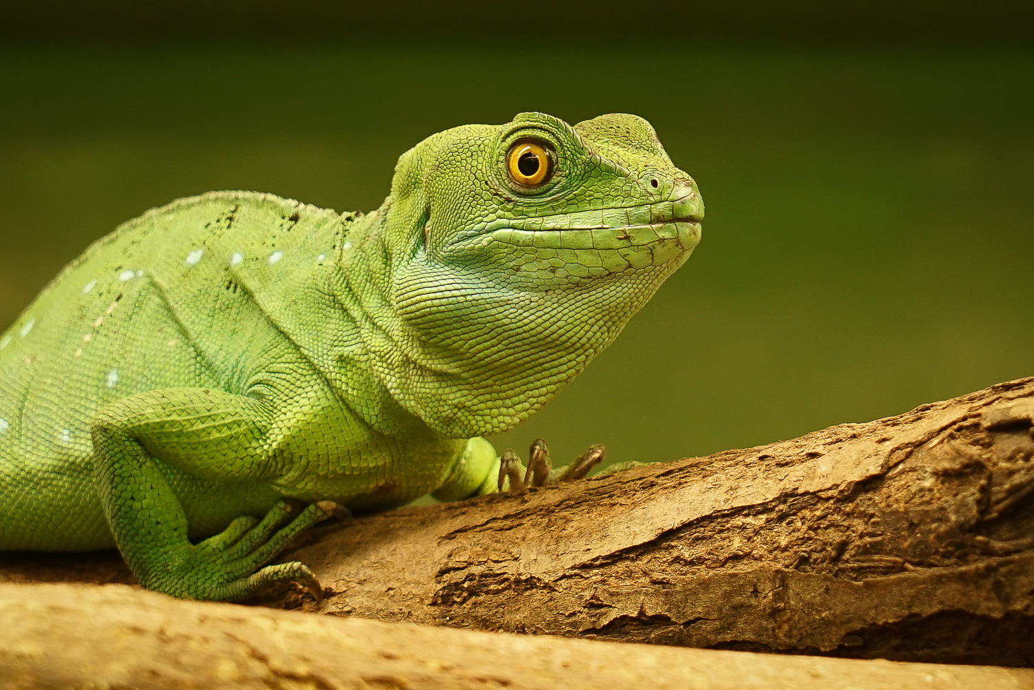 Zoo Augsburg