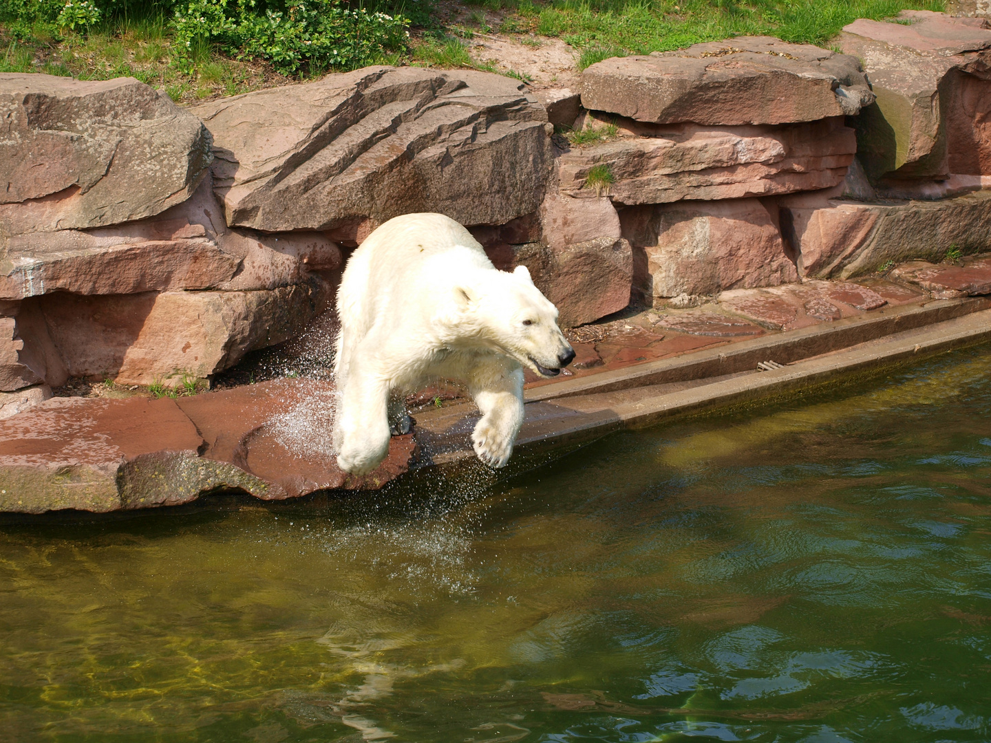 Zoo Augsburg