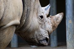 Zoo Augsburg 7