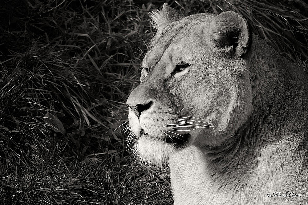 Zoo Augsburg