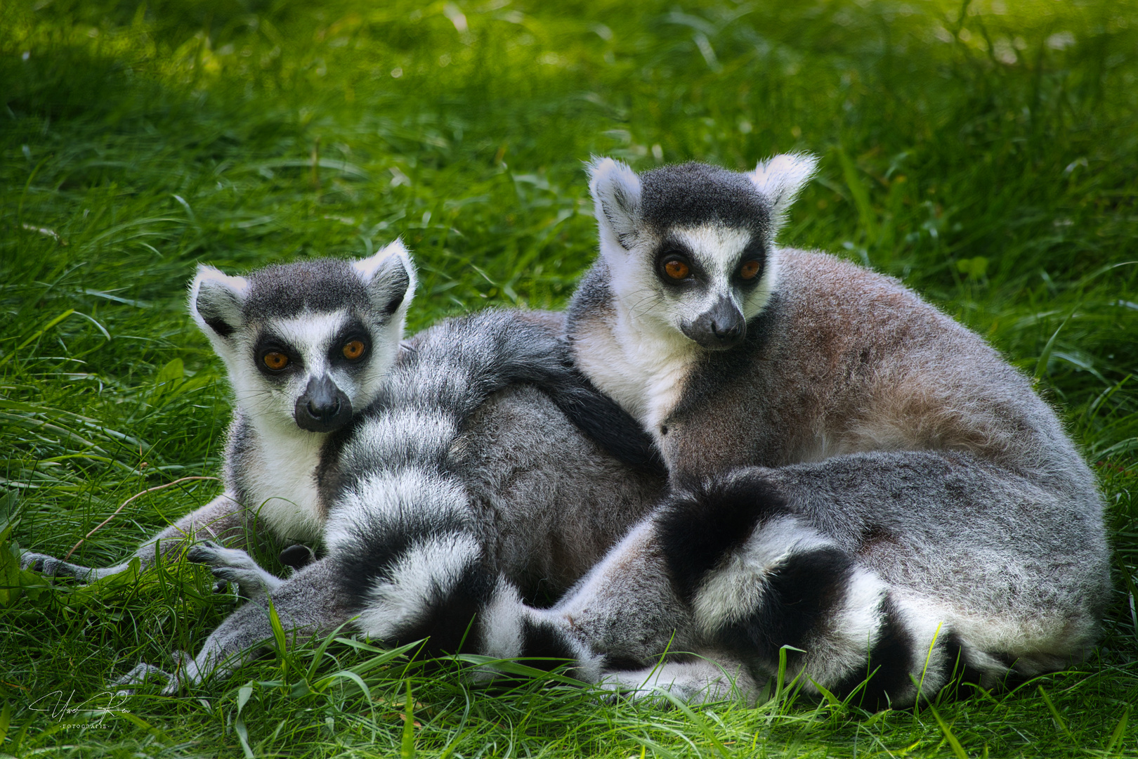 Zoo Augsburg 