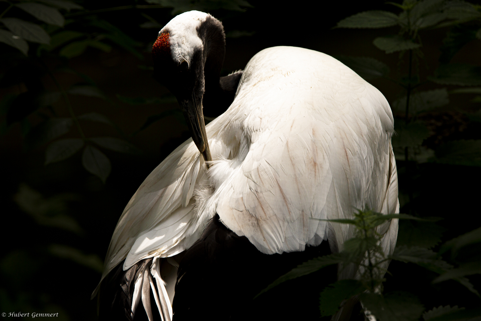 Zoo Augsburg