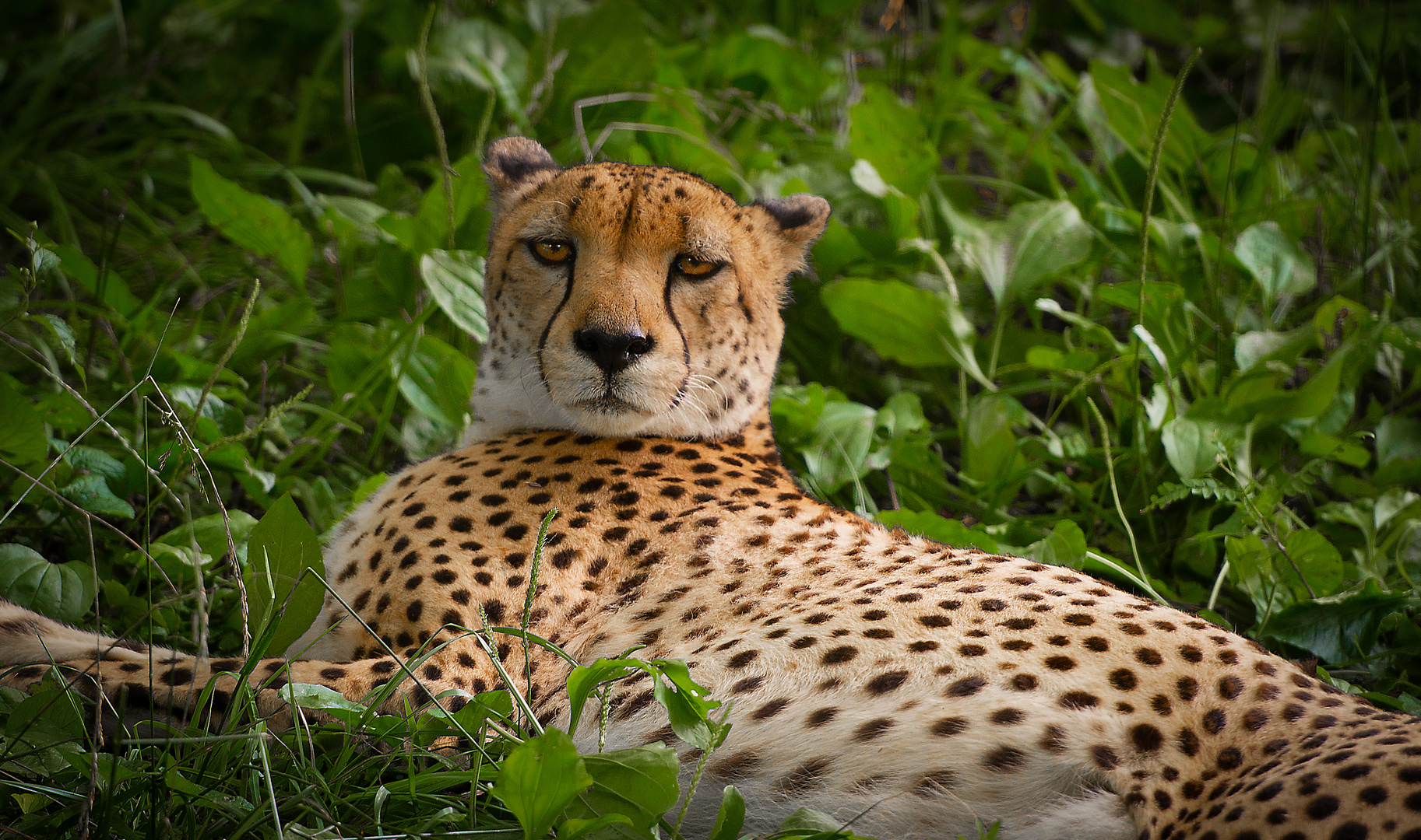 Zoo Baltimore