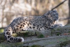 Zoo Basel 2024
