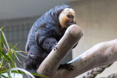 Zoo Basel 2024