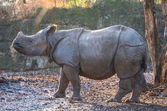 Zoo Basel 2024