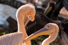 Zoo Basel 2024