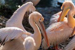 Zoo Basel 2024