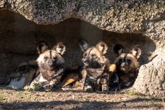 Zoo Basel 2024