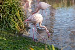 Zoo Basel 2024