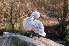 Zoo Basel 2024