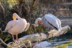 Zoo Basel 2024