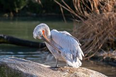 Zoo Basel 2024
