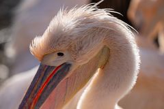 Zoo Basel 2024