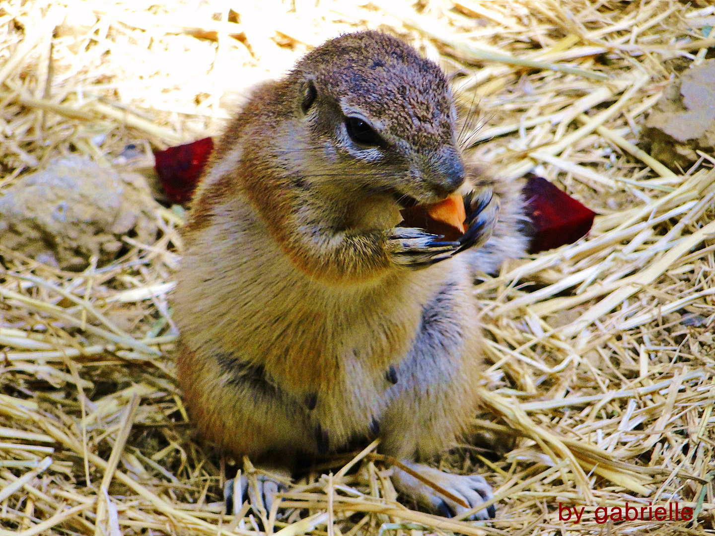 Zoo Basel