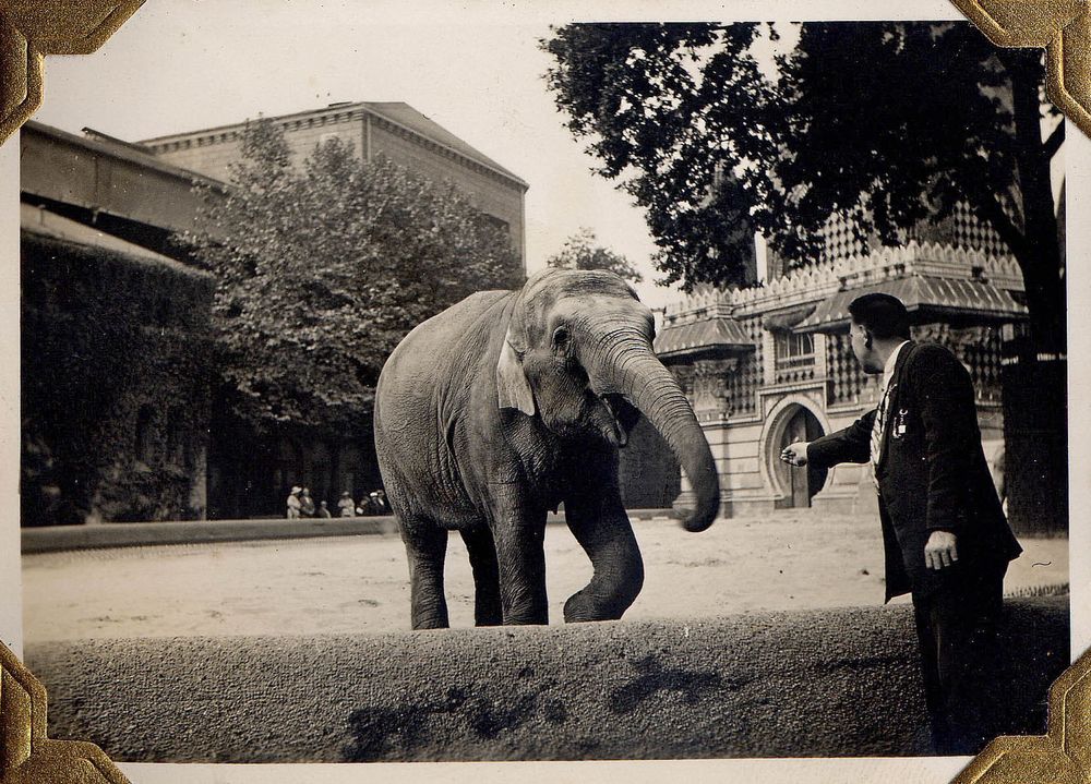 Zoo Berlin 1935