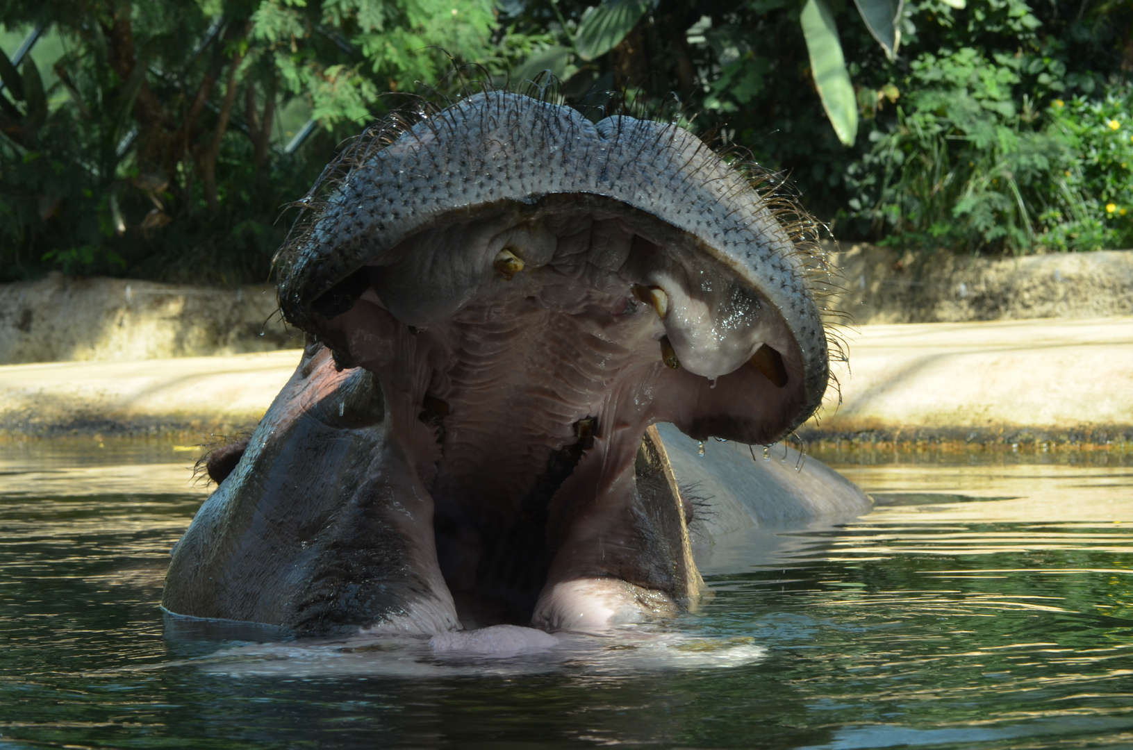 Zoo Berlin